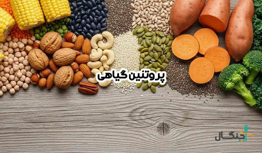 پروتئین گیاهی: جدول و راهنمای عملی برای شما