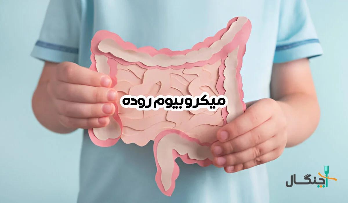 تاثیر میکروبیوم روده بر وزن، خلق و خو و سیستم ایمنی