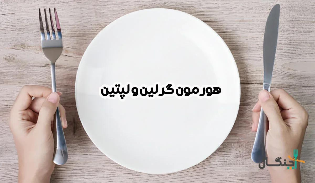 نبرد هورمون‌ها: گرلین در برابر لپتین؛ تعادل کدام به لاغری کمک می‌کند؟