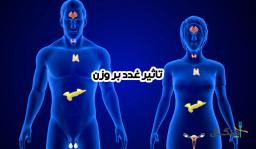 تاثیر غدد بر وزن؛ باور غلط یا یک واقعیت علمی