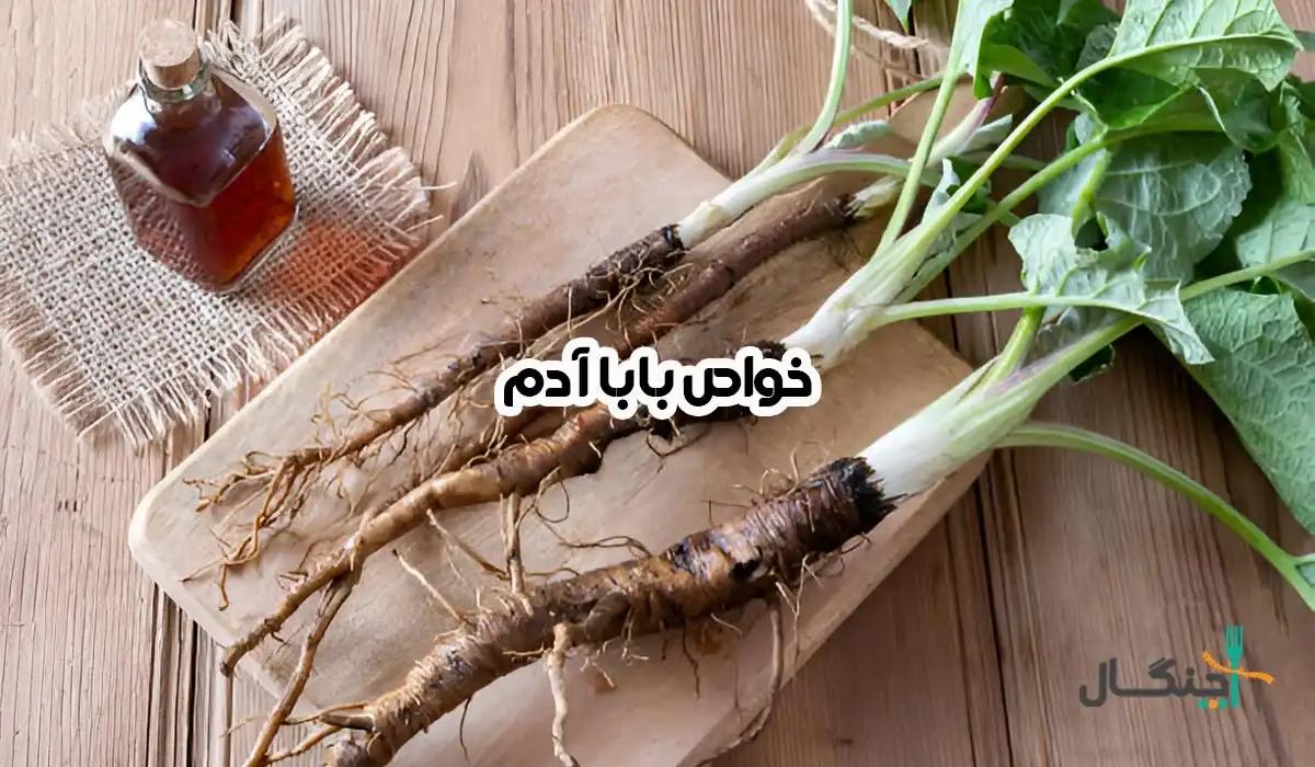 خواص ریشه باباآدم؛ شواهد علمی و موارد احتیاط