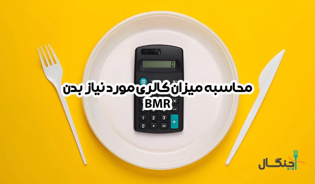 محاسبه میزان کالری مورد نیاز بدن BMR