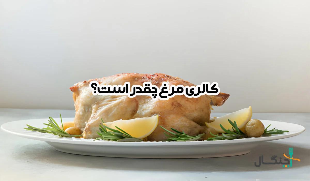کالری و پروتئین سینه، ران، بال و ساق مرغ + جدول