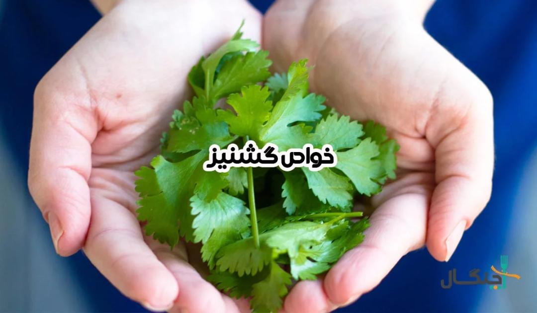 خواص گشنیز برای سلامتی، پوست و مو