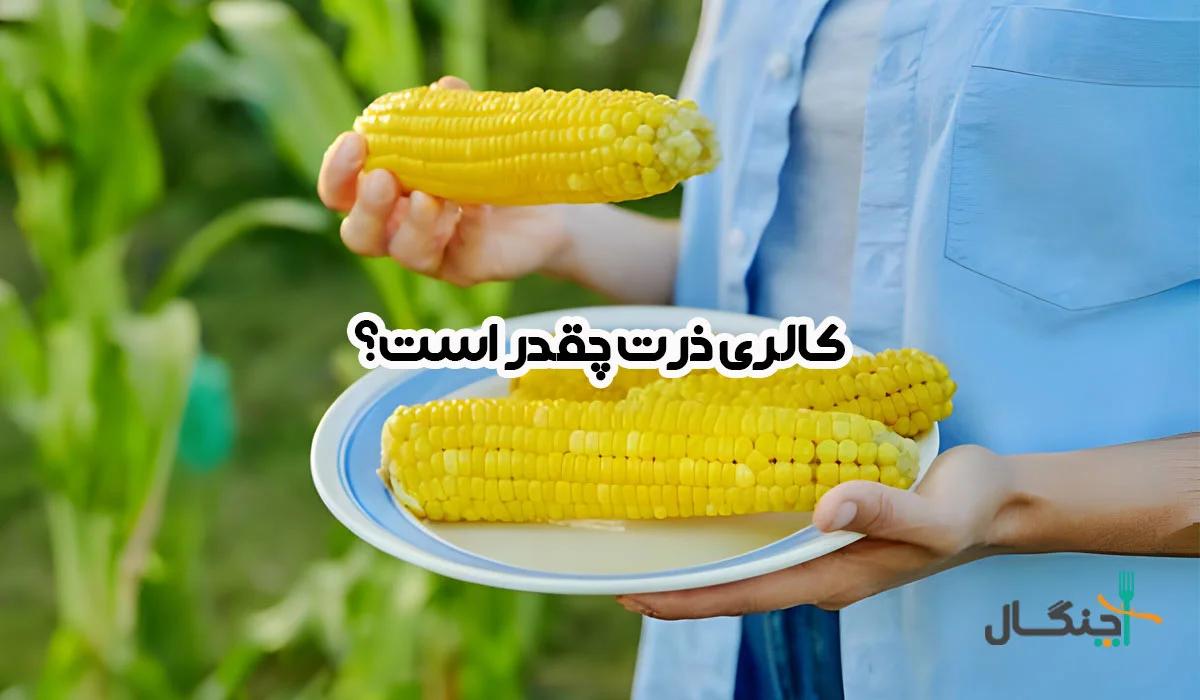 کالری ذرت؛ آیا ذرت چاق‌کننده است؟
