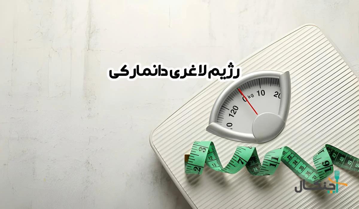 رژیم دانمارکی ۱۳روزه؛ بررسی علمی و خطرات محدودیت شدید