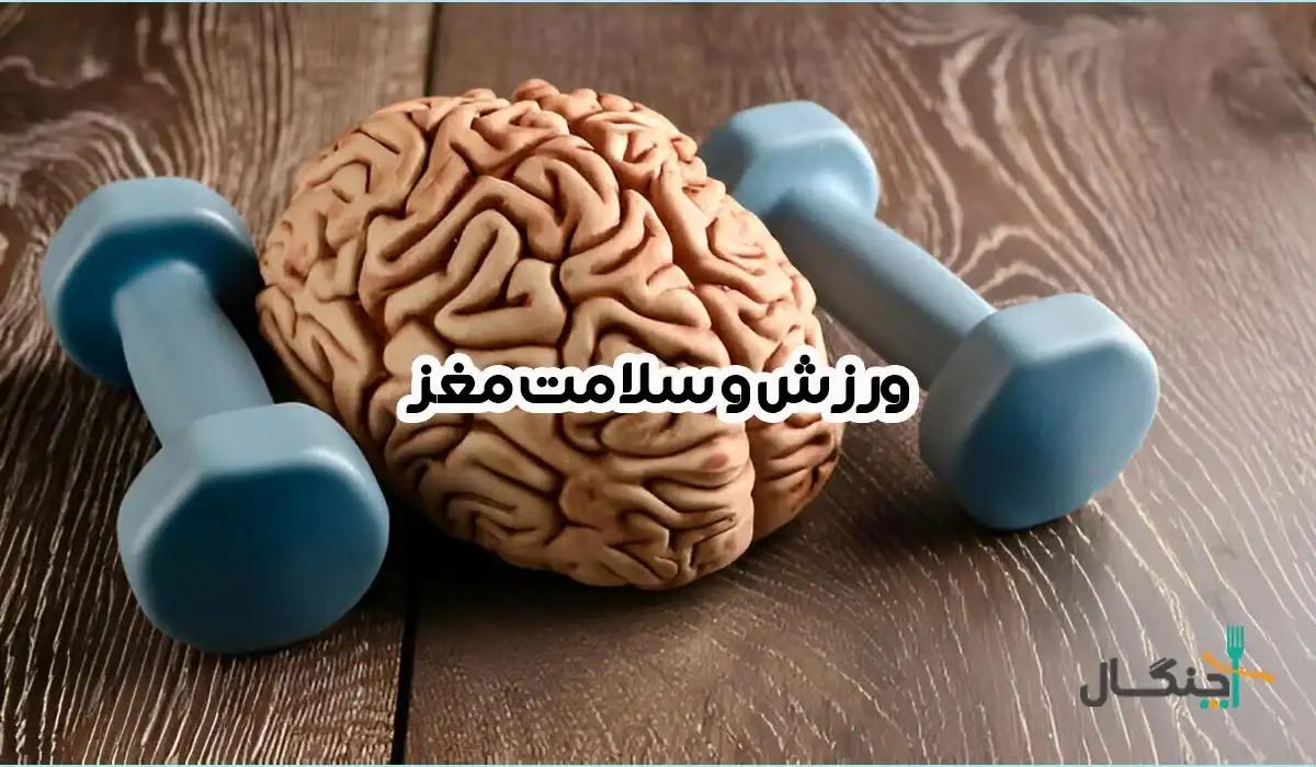 ورزش و سلامت مغز؛ نکاتی که شاید ندانید