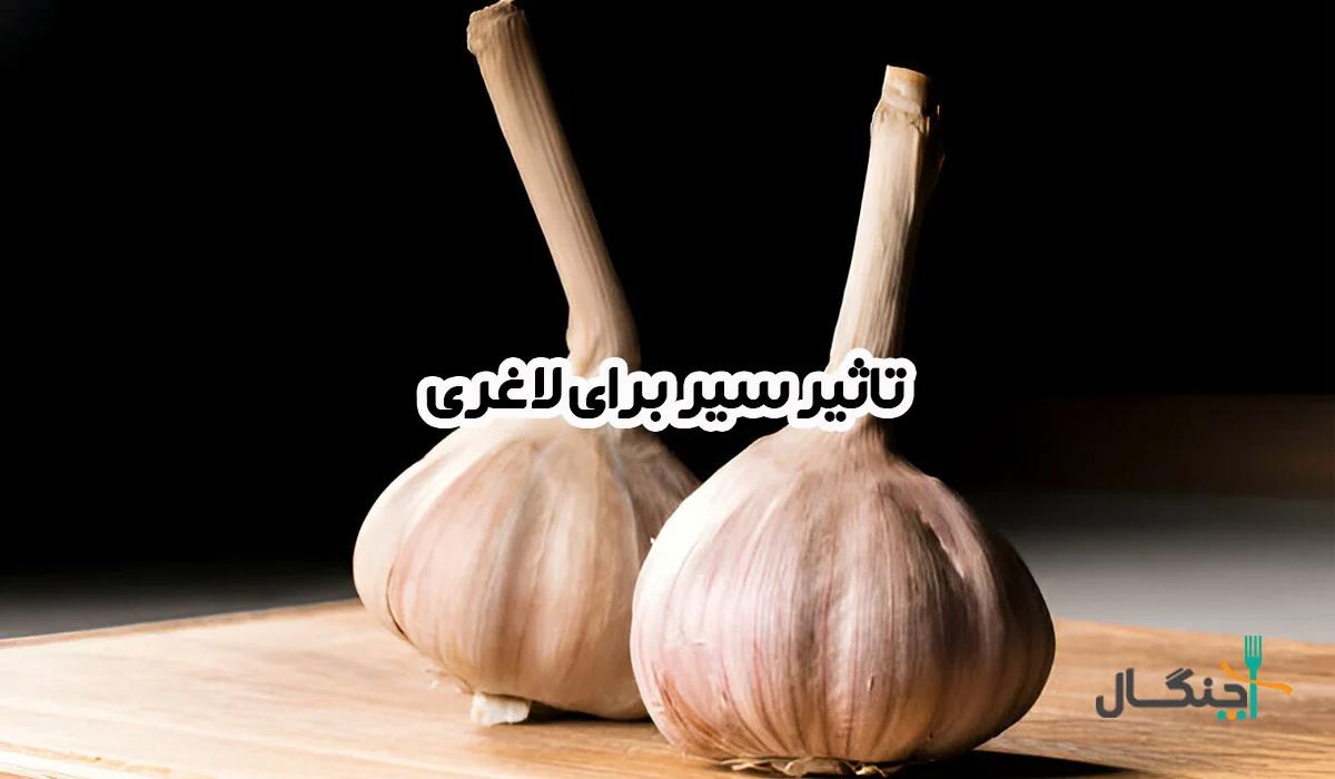خواص سیر برای لاغری و بهترین روش‌های مصرف آن
