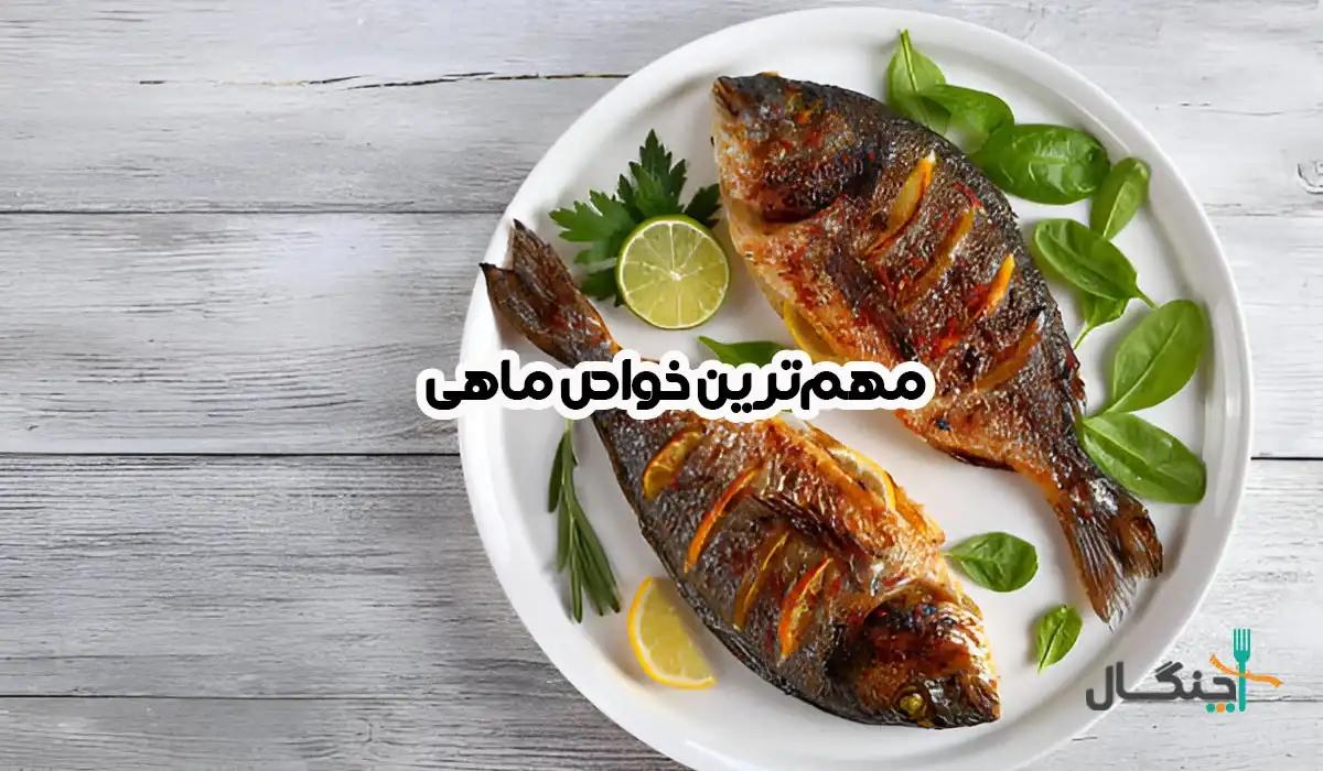 خواص ماهی؛ ۱۱ فایده، ارزش غذایی و نکات مصرف