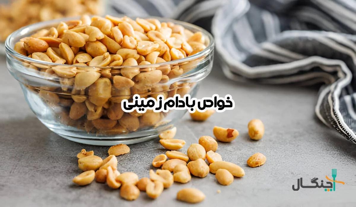 بادام‌زمینی؛ خواص، ارزش غذایی و تأثیر آن بر سلامتی بدن