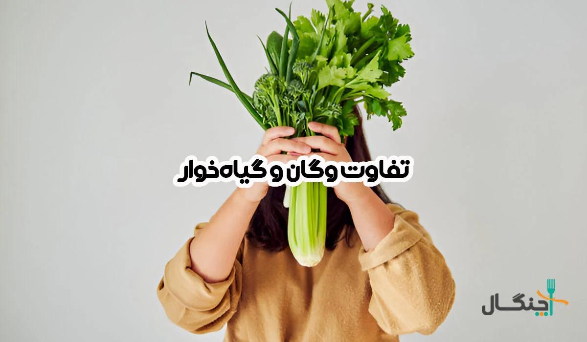 تفاوت وگان و گیاهخوار؛ کدام سبک تغذیه مناسب‌تر است؟