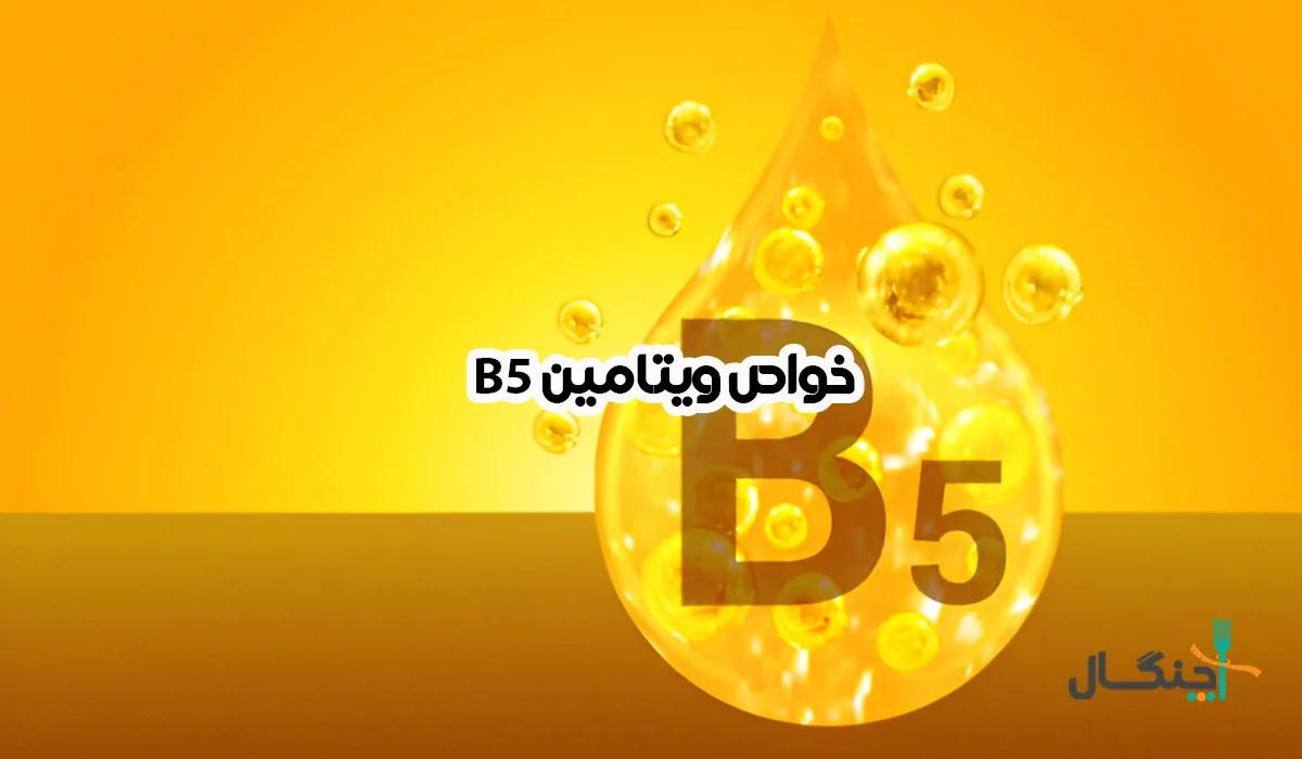 ویتامین B5؛ خواص، منابع و علائم کمبود پانتوتنیک اسید
