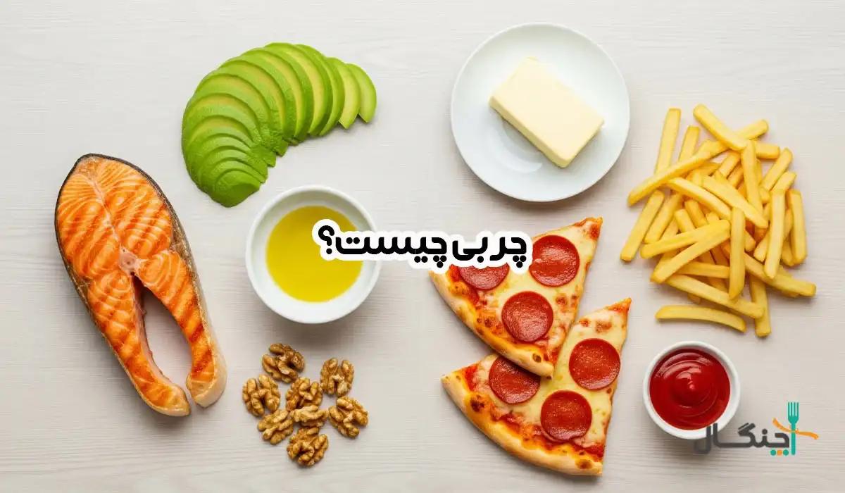 چربی چیست؛ هر آنچه باید درباره چربی در بدن و غذا بدانید