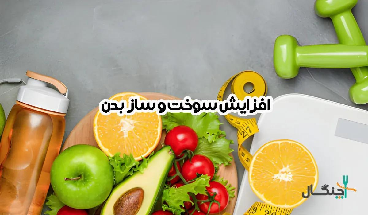 متابولیسم چیست و چگونه کار میکند؟ راهنمای کامل سوختوساز بدن