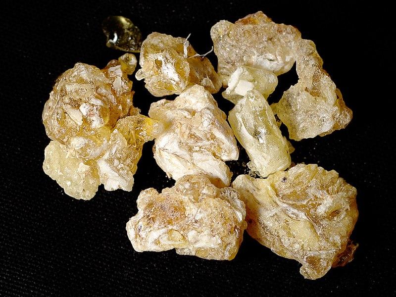 کندر چیست؟ شواهد علمی، عوارض و موارد احتیاط