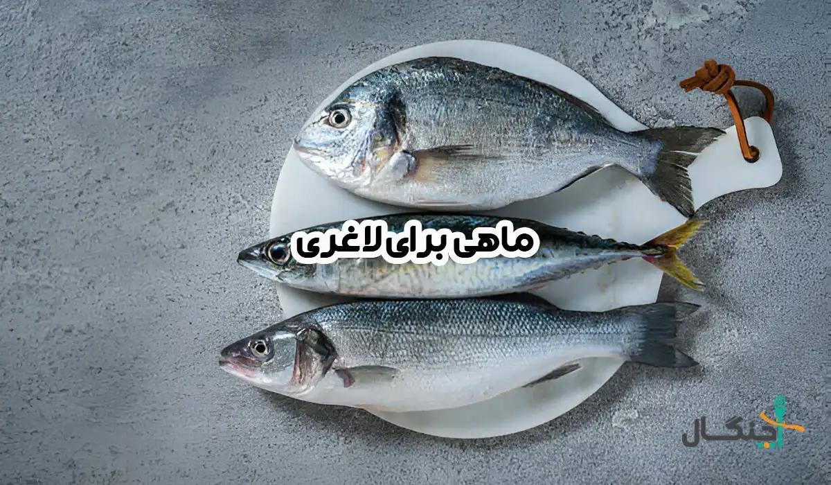 چرا در رژیم لاغری باید ماهی بخوریم؟