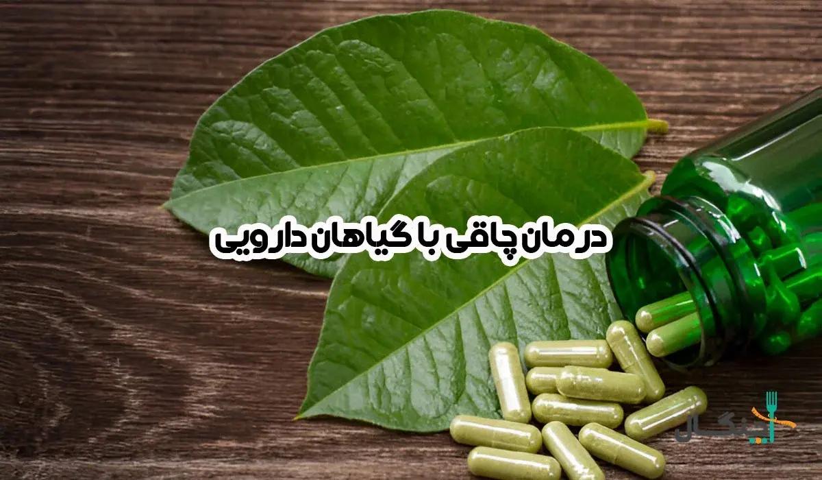 13 گیاه دارویی برای کاهش وزن و چربیسوزی