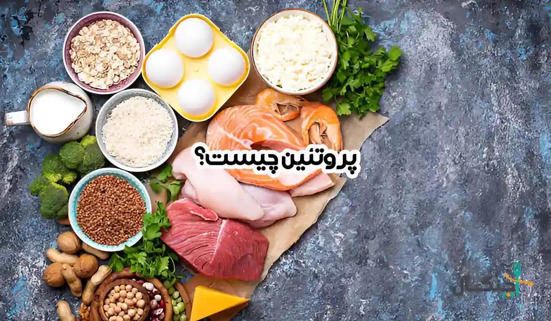 پروتئین، معمار بدن انسان! هرآنچه باید درباره عملکرد و منابع بدانید