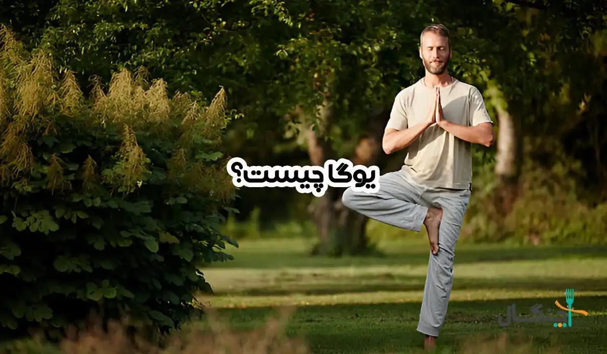 هر آنچه باید درباره یوگا بدانید؛ فواید، سبکها، اصول و نکات ایمنی