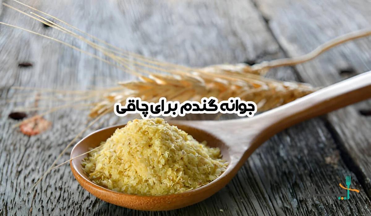 جوانه گندم برای افزایش وزن؛ کالری، خواص و روش مصرف