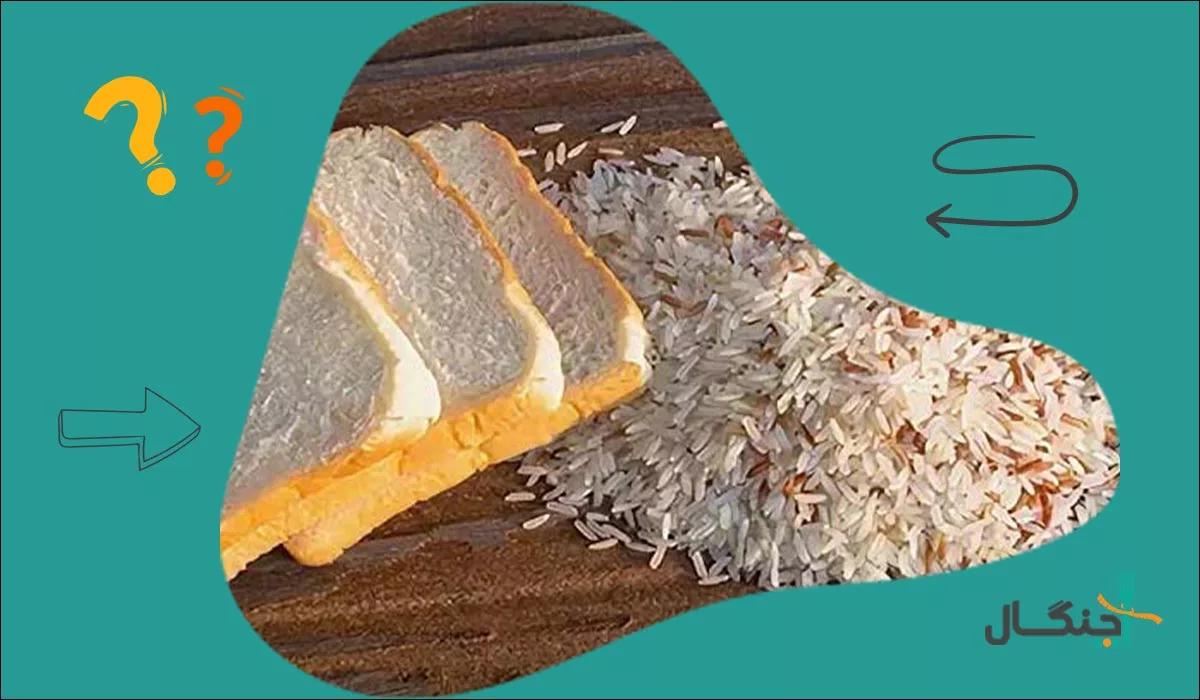 میزان کالری برنج در مقایسه با نان