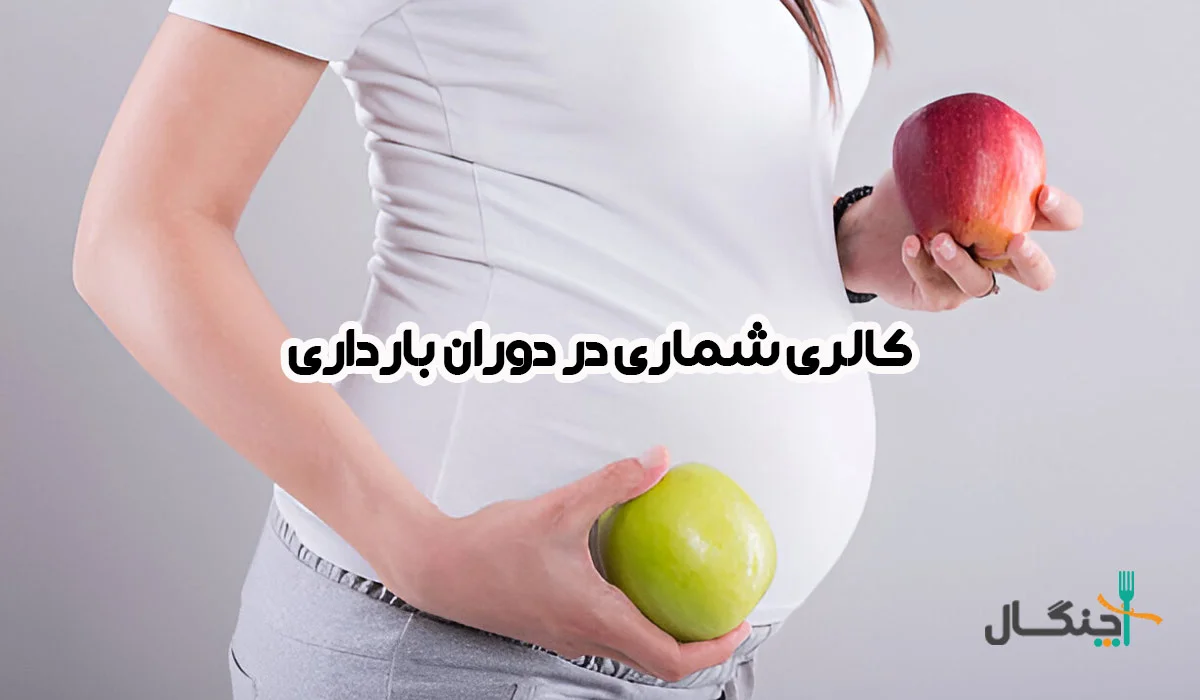 کالری شمار بارداری