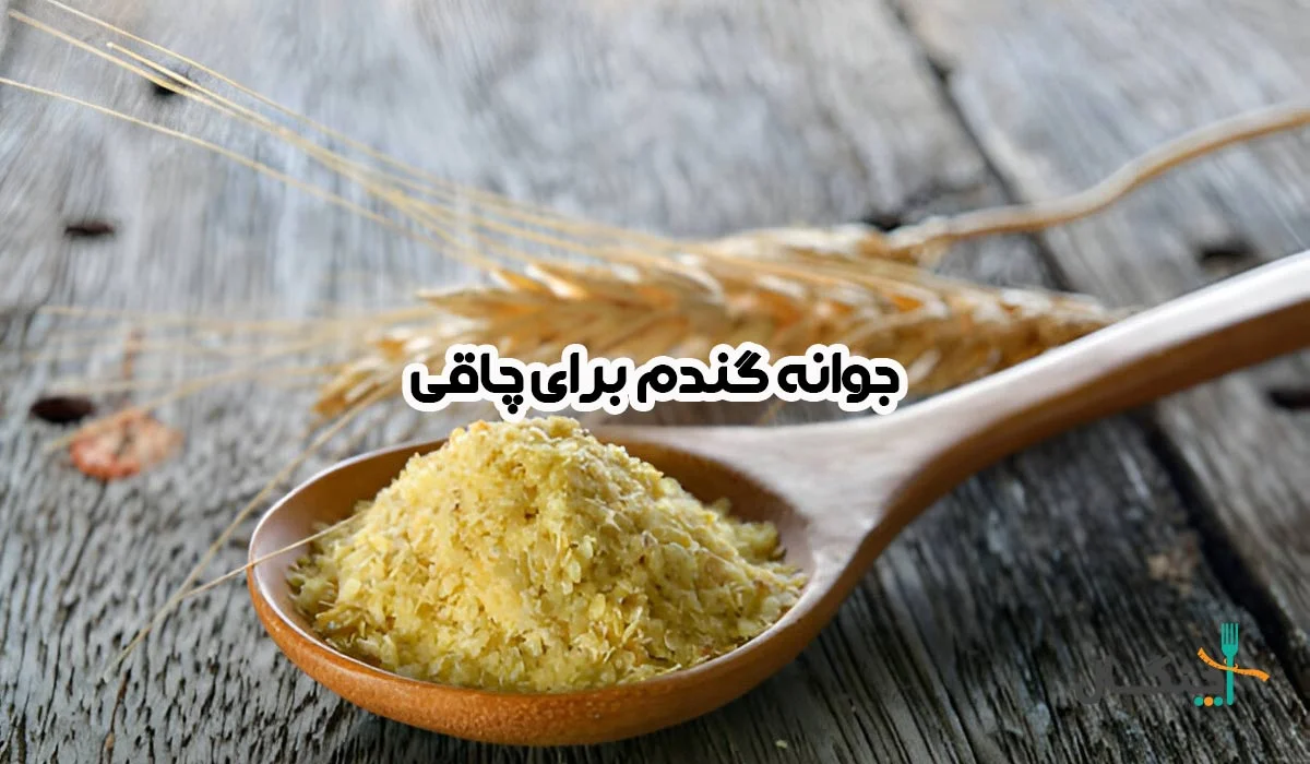 فواید مصرف جوانه گندم برای چاقی